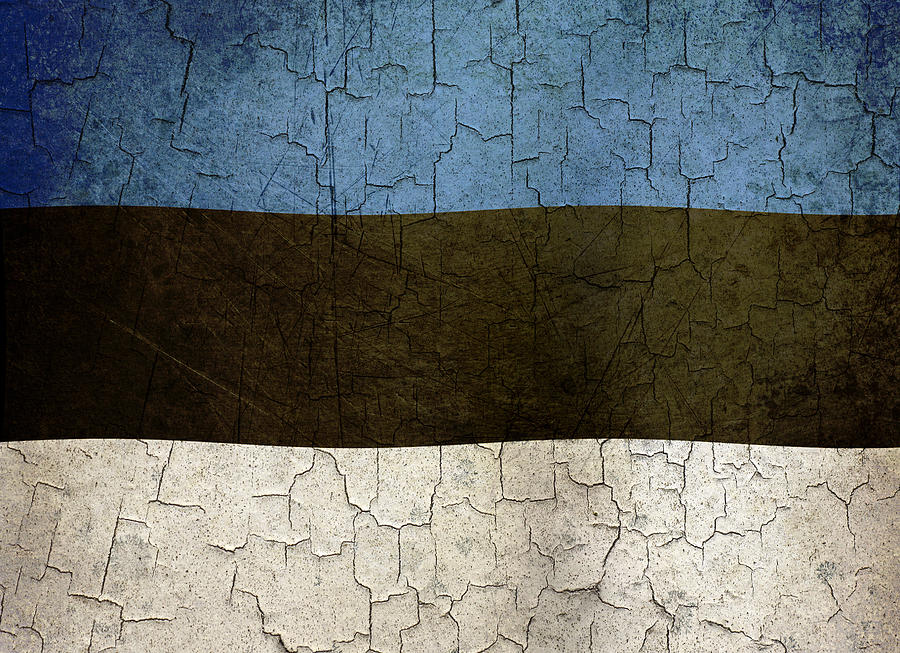 Grunge Estonia flag Digital Art by Steve Ball