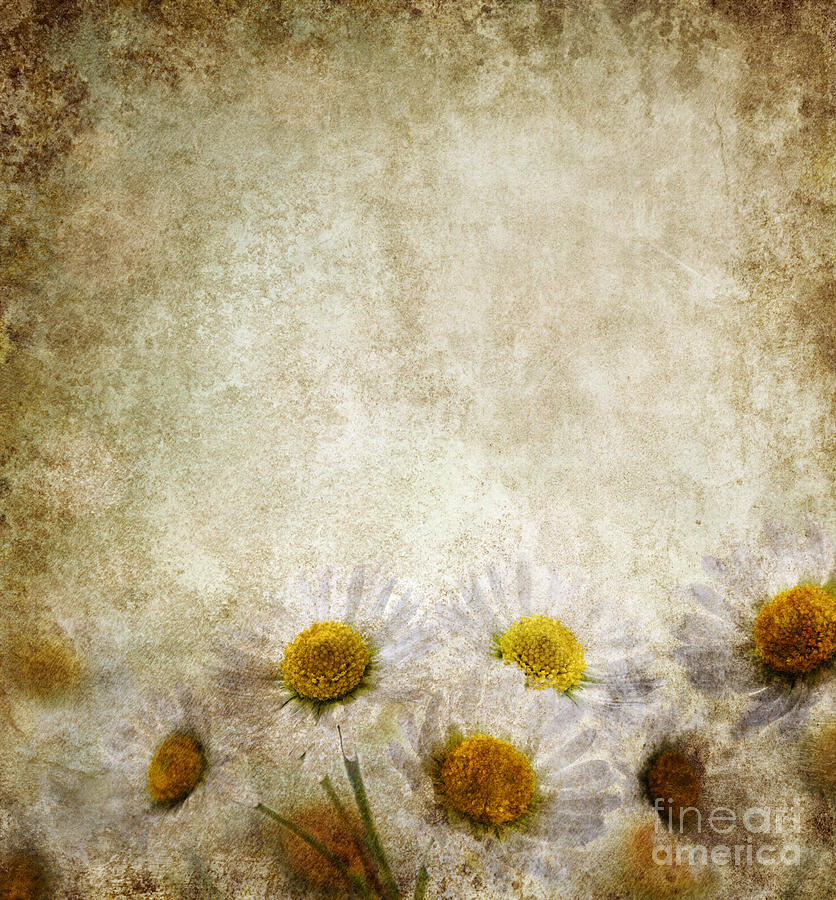 Grunge Floral Background Photograph by Jelena Jovanovic