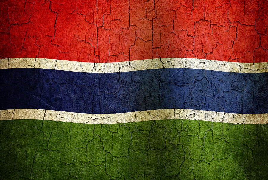 Grunge Gambia flag Digital Art by Steve Ball