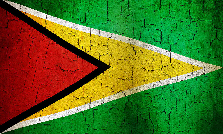 Vintage Digital Art - Grunge Guyana flag by Steve Ball
