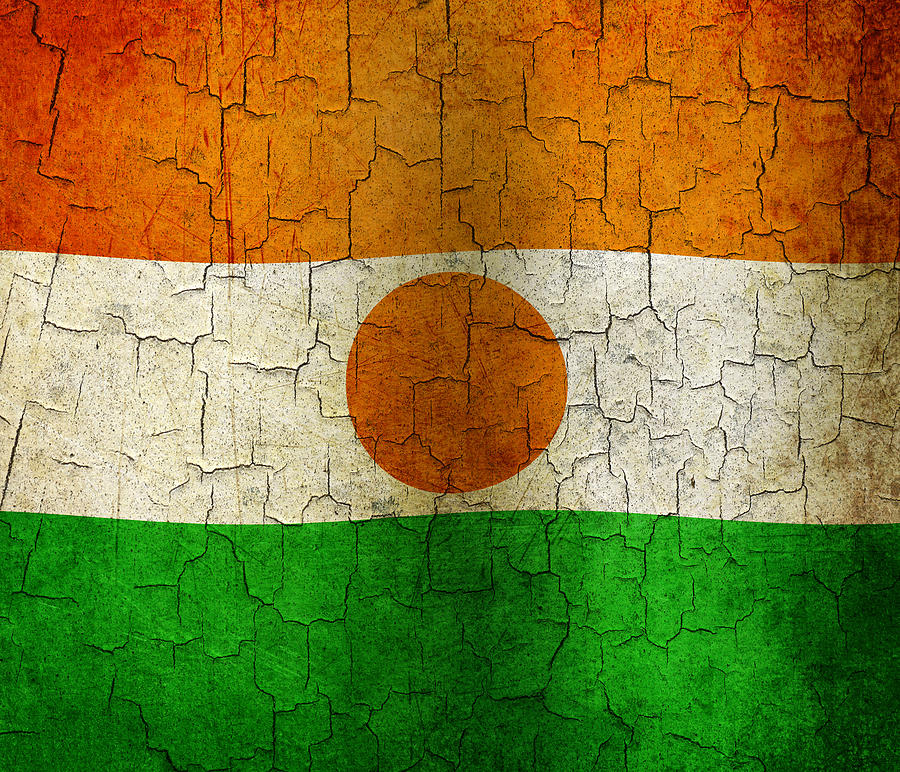 Vintage Digital Art - Grunge Niger flag by Steve Ball