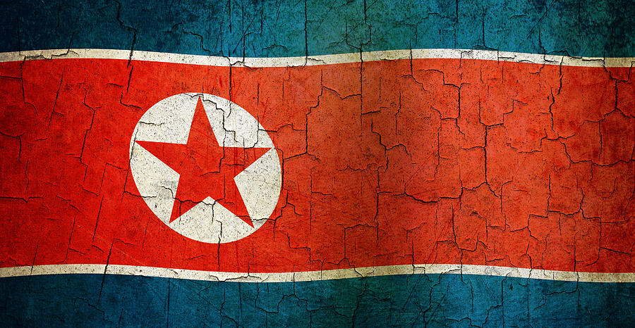 Grunge North Korea flag Digital Art by Steve Ball