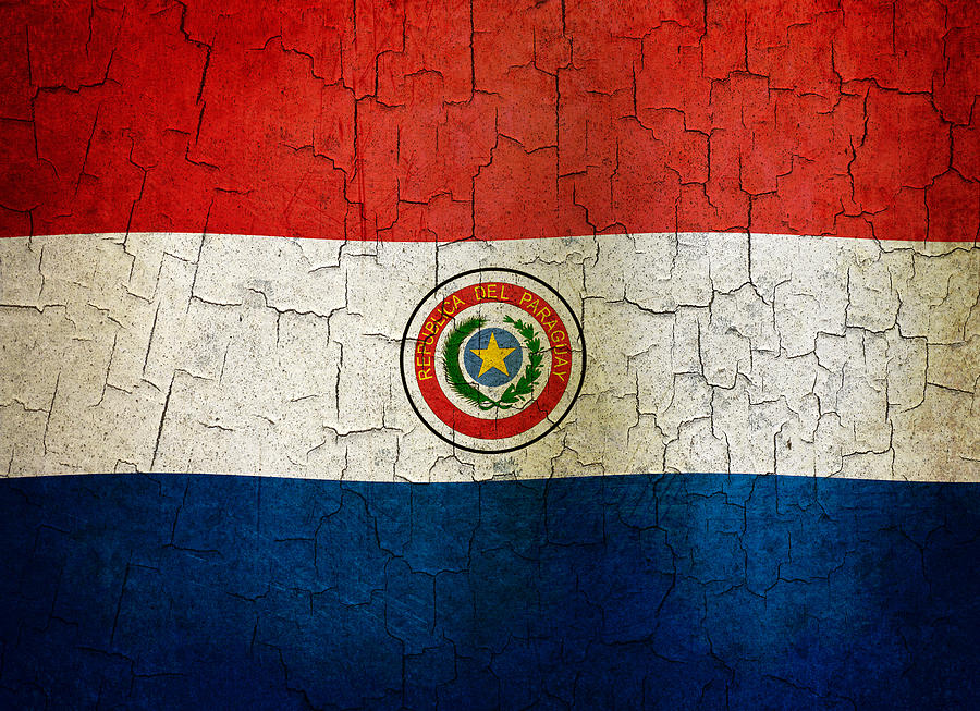 Grunge Paraguay flag Digital Art by Steve Ball