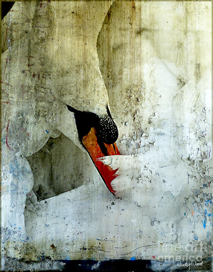Grunge Swan by Judy Wood Grunge Swan by Judy Wood