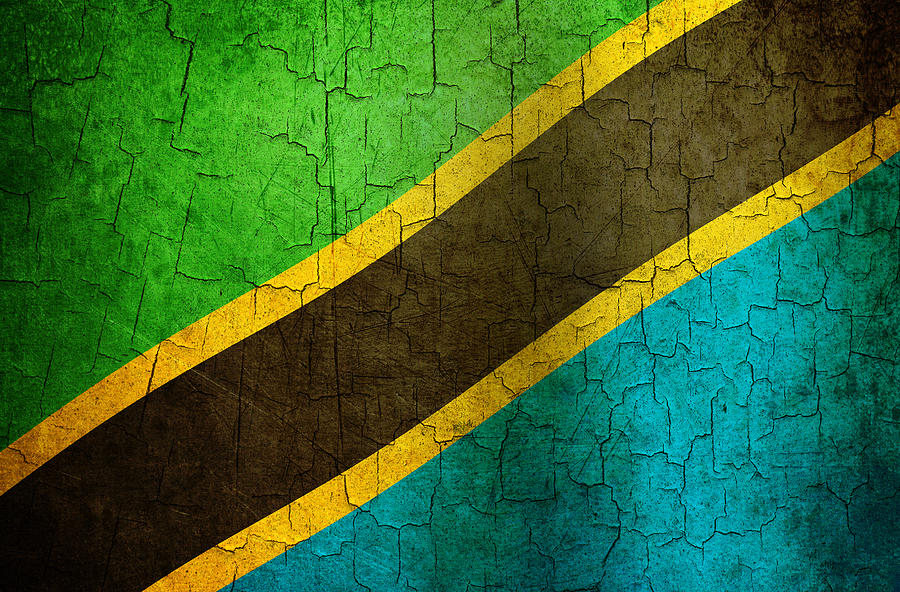 Grunge Tanzania flag Digital Art by Steve Ball