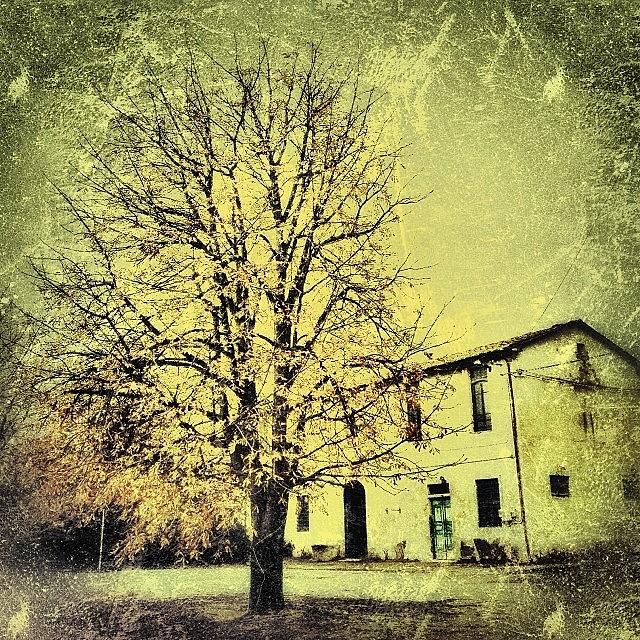 Fall Photograph - Grunge Tuscany by Angelo Fragliasso