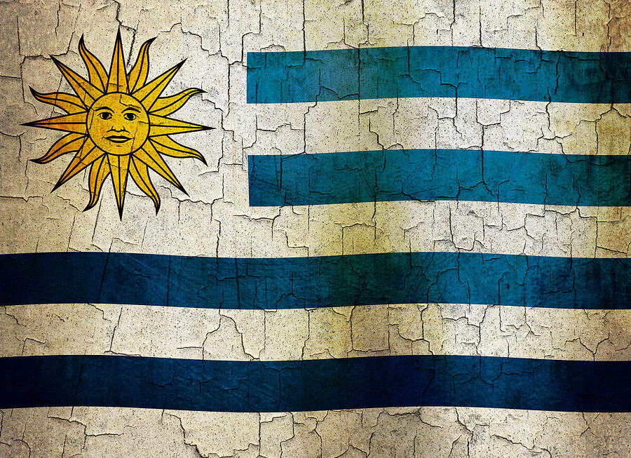 Grunge Uruguay flag Digital Art by Steve Ball