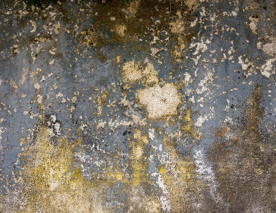 Grungy cement wall Photograph by Dutourdumonde Photography