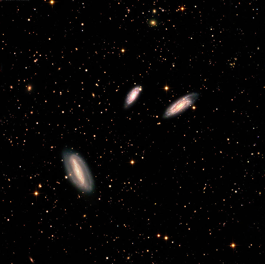 Grus Interacting Galaxies Photograph by Damian Peach