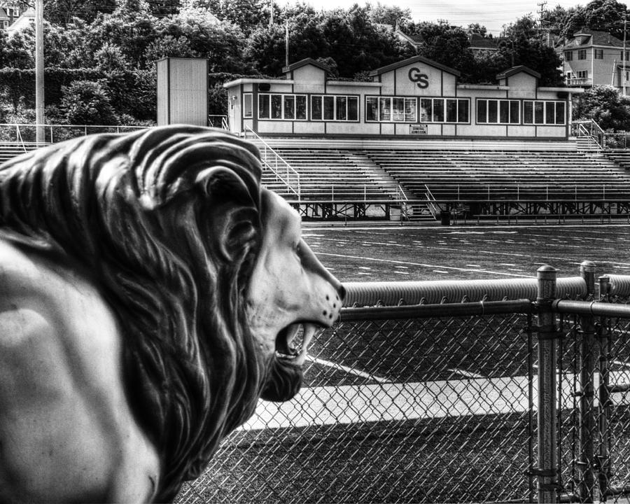 GSHS Lion Photograph by Coby Cooper