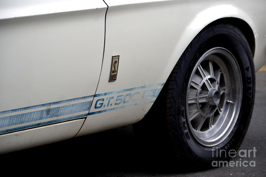 Gt 500 Orig Owner And Condtition Photograph by Dean Ferreira