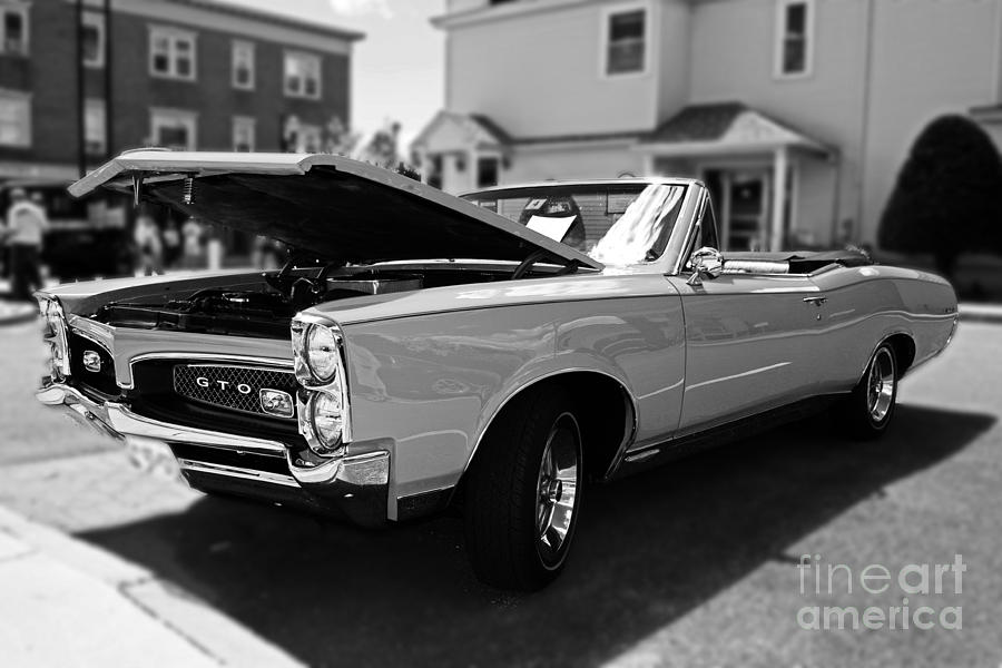 Gto Bw Photograph by Kevin Fortier
