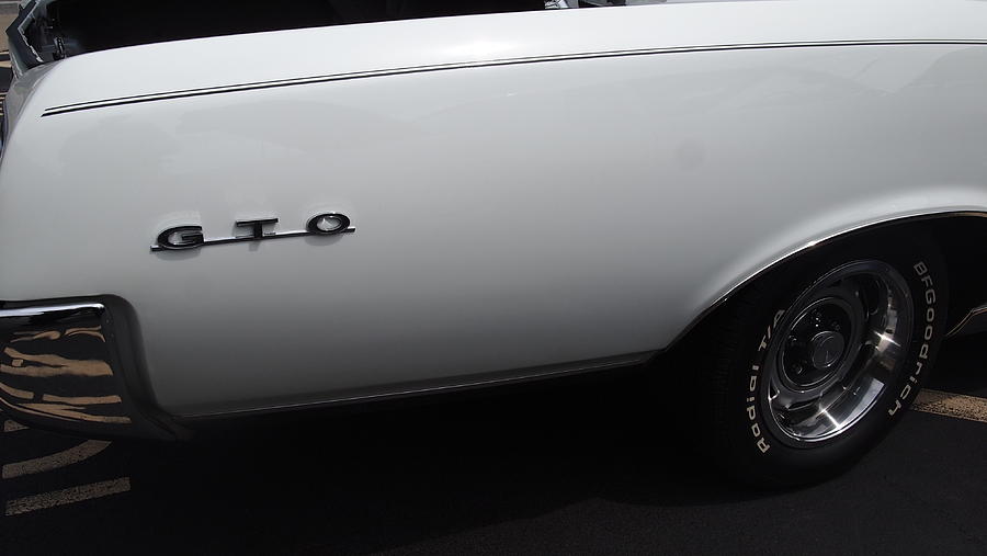 GTO Photograph by Emery Graham