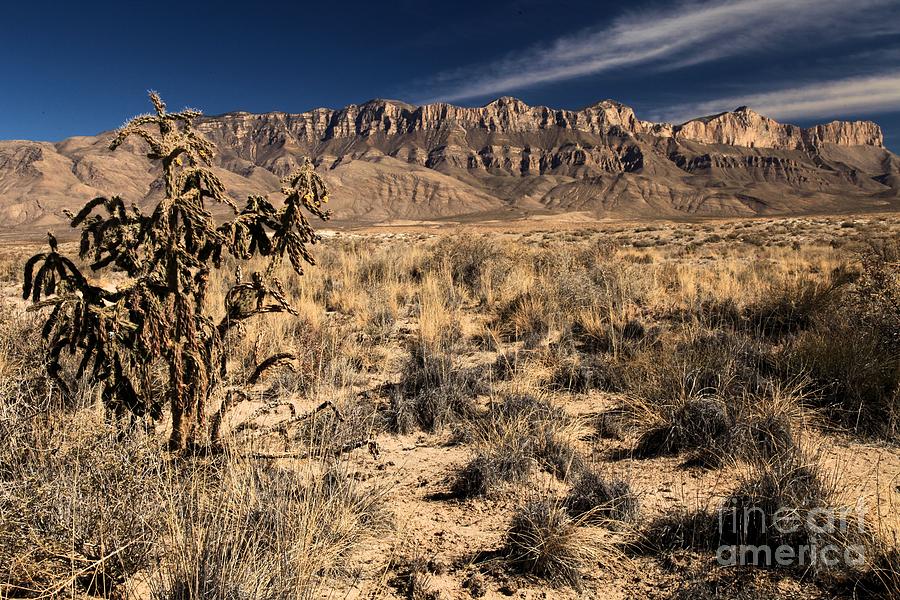 Guadalupe Landscape Photograph by Adam Jewell