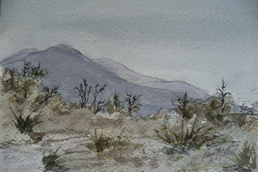 Guadalupe Mountains - February 2010 Painting by Joel Deutsch