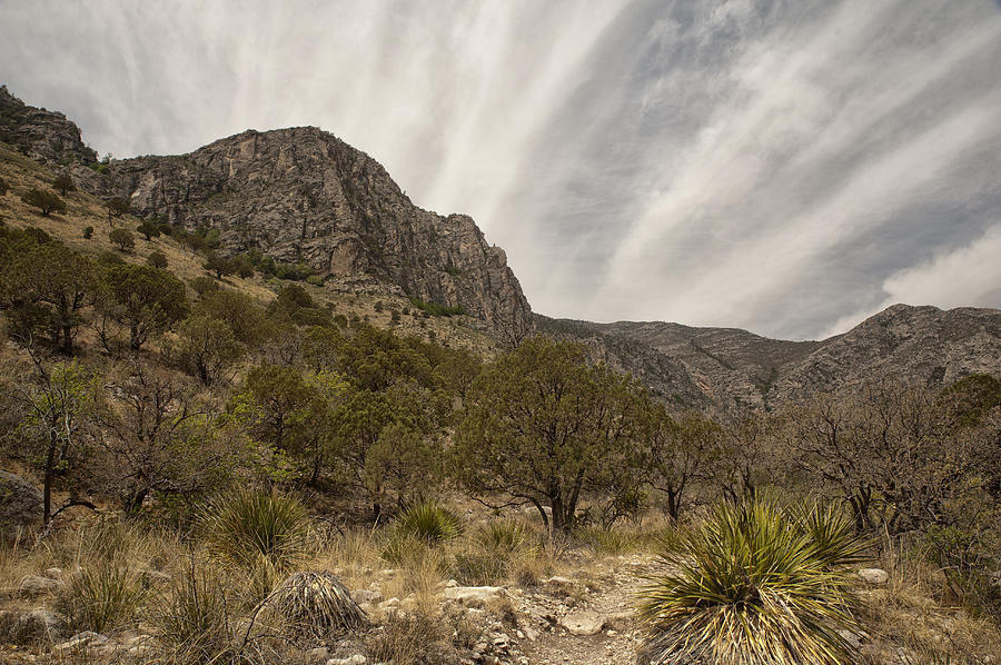 Guadalupe Mountains Photograph by Melany Sarafis