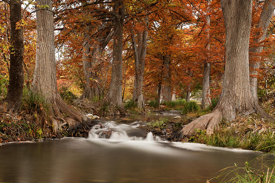 Guadalupe River Autumn Photograph by Paul Huchton