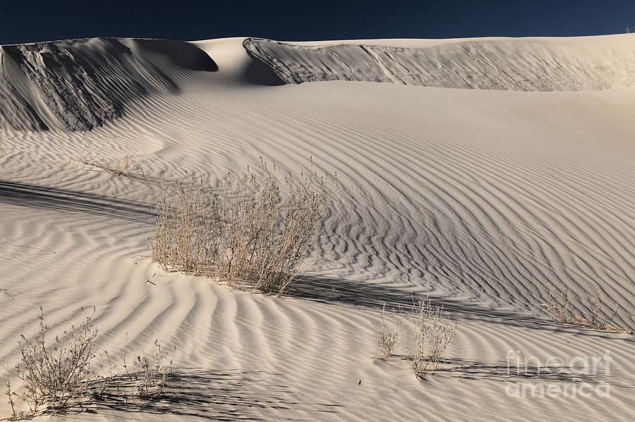 Guadalupe Sand Dunes Photograph by Adam Jewell