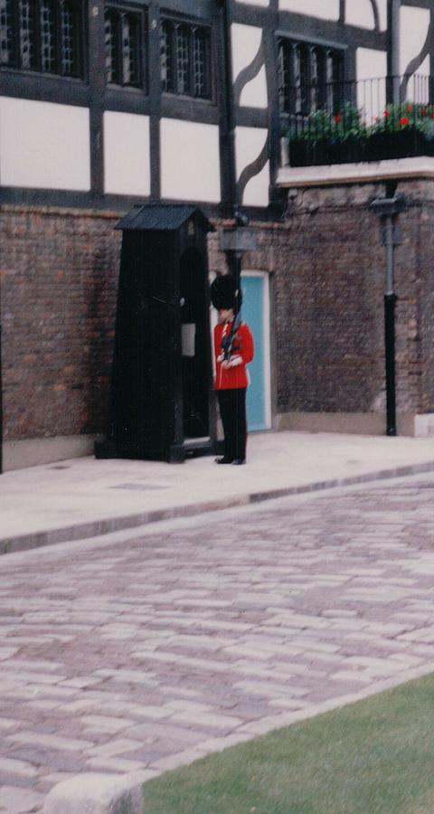 London Photograph - Guard London England by Lisa Travis