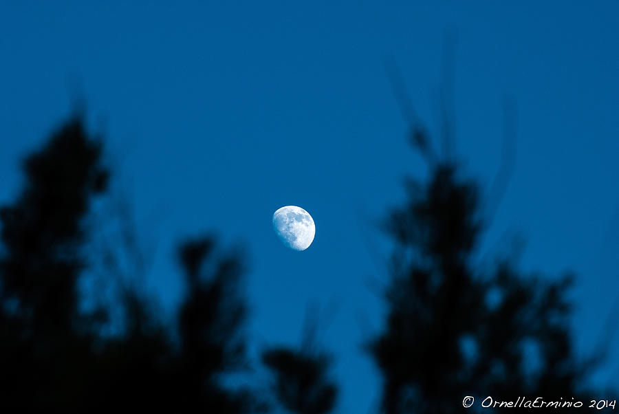 Guarda Che Luna  Photograph by Ornella Erminio