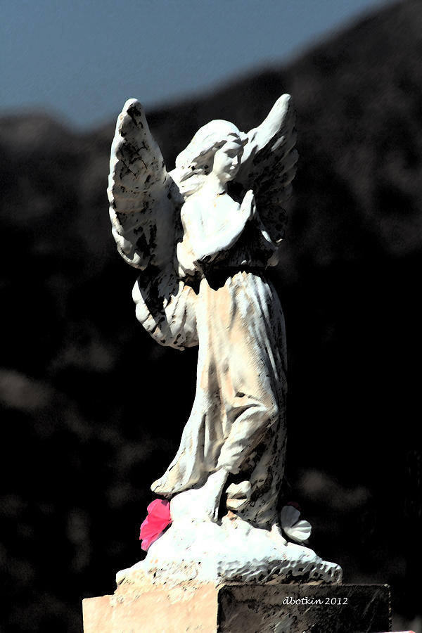 Guardian Angel Photograph by Dick Botkin