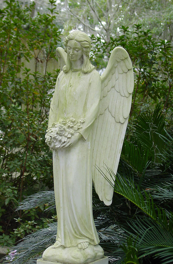 Guardian Angel Photograph by Suzanne Gaff