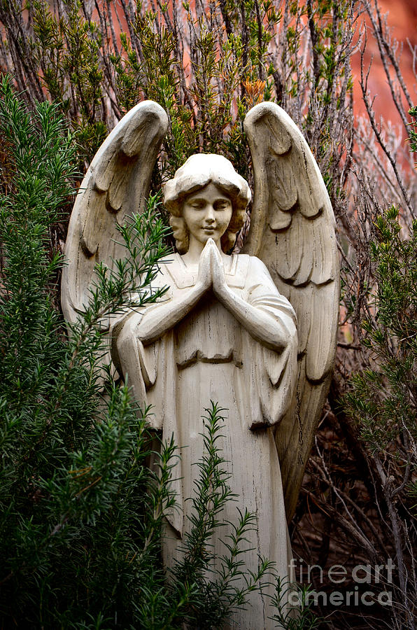 Angel Photograph - Guardian of the Garden by Deb Halloran