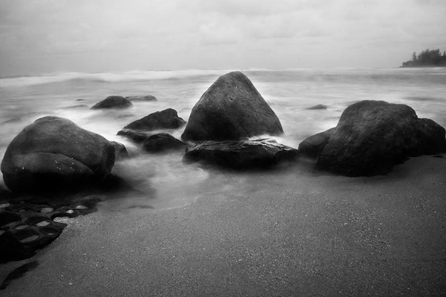 Beach Photograph - Guardians  by Parker Cunningham