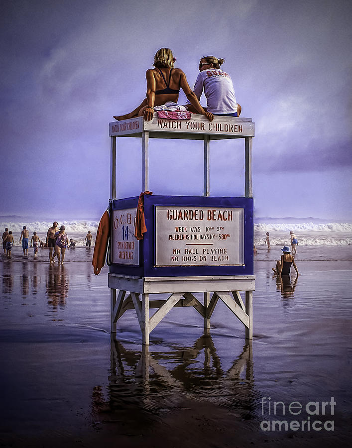Guarding the Beach Photograph by Nick Zelinsky Jr