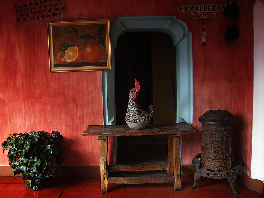 Guatemala Door 3 Photograph by Xueling Zou