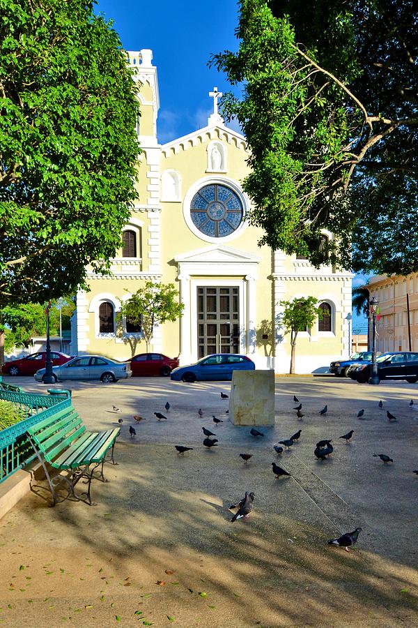 Guayama Catholic Church and Plaza Photograph by Ricardo J Ruiz de Porras