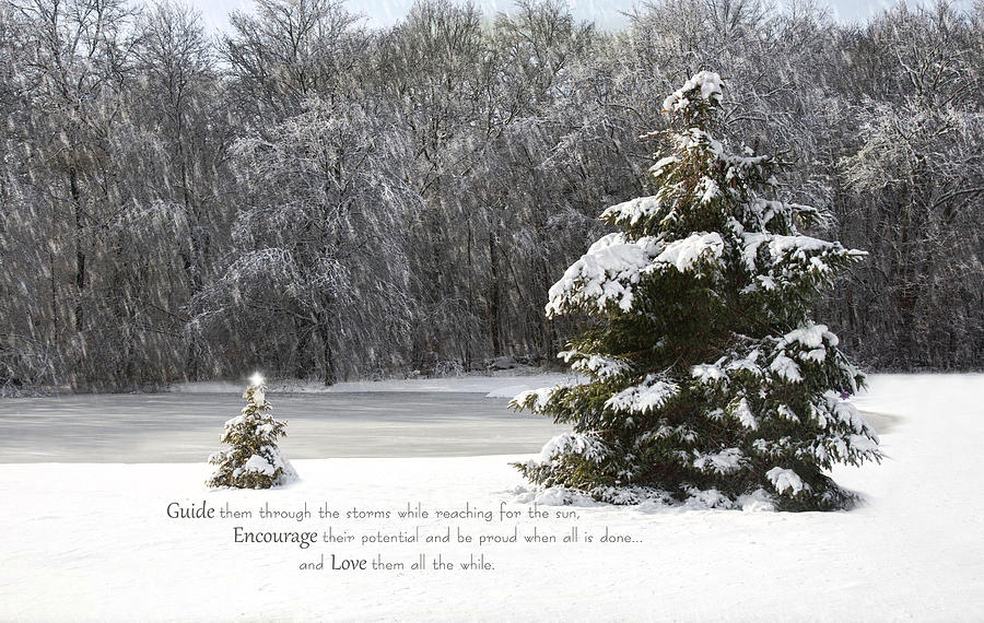 Winter Photograph - Guide Encourage Love by Robin-Lee Vieira