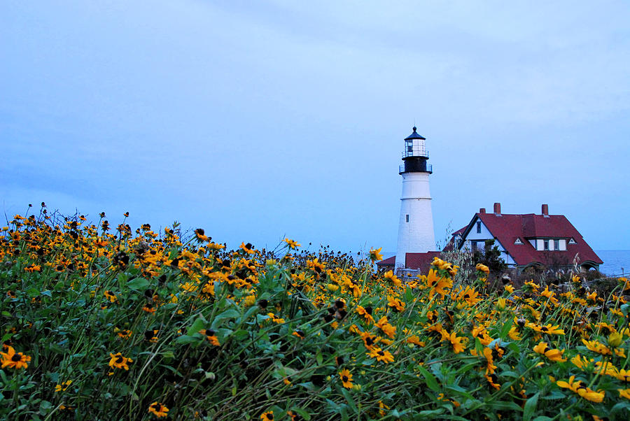 Guiding Light Photograph by Natalie Grimmer