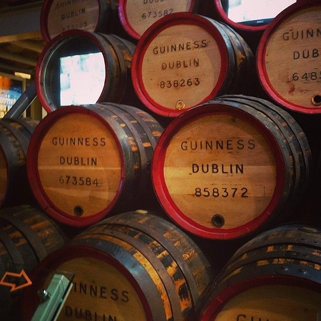 Guinness Barrels At The Guinness Photograph by Jordan Napolitano