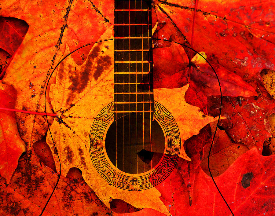 Guitar and Maple Leaves Photograph by Clare VanderVeen