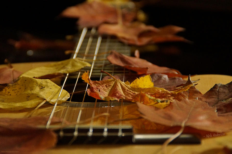 Guitar Autumn 2 Photograph by Mick Anderson