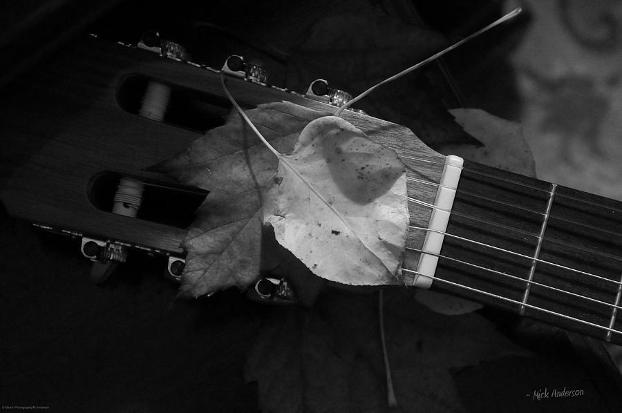 Music Photograph - Guitar Autumn 4 - BW by Mick Anderson