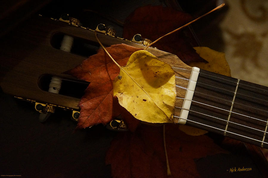 Guitar Autumn 4 Photograph by Mick Anderson