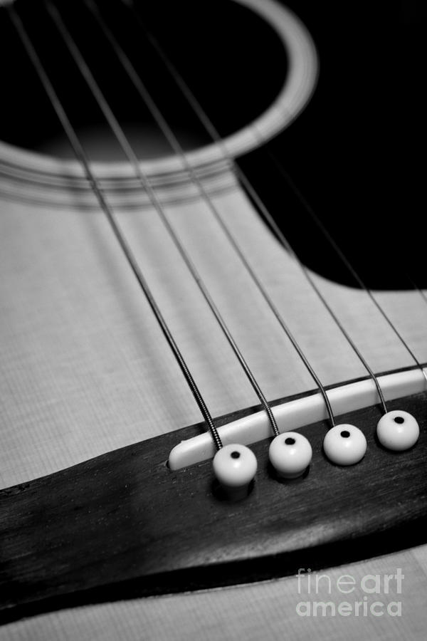 Music Photograph - Guitar Bridge in Black and White by Paul Ward