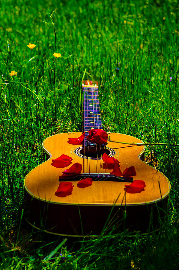 Guitar cover roses  Photograph by Gerald Kloss