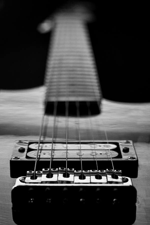 Guitar Strings Photograph by Eric Ziegler - Fine Art America