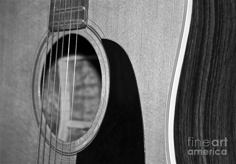 Guitar Strings Photograph by Linda Bianic