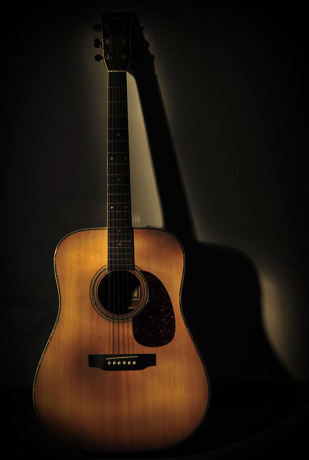 Music Photograph - Guitar by Terry DeLuco