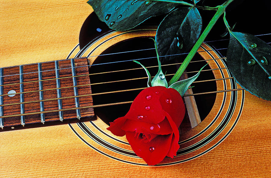 Guitar Photograph - Guitar with single red rose by Garry Gay