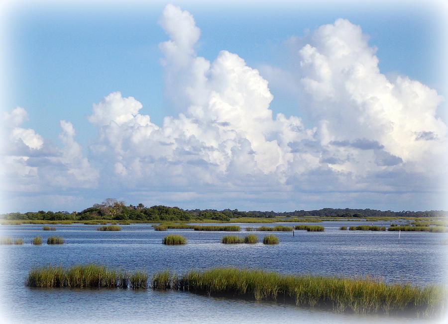 Gulf Coast Saltwater Grass View Photograph by Sheri McLeroy - Fine Art ...