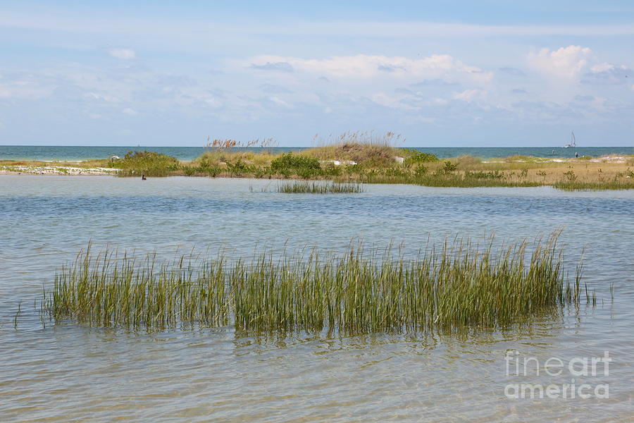 Gulf Coast Serenity Photograph by Carol Groenen
