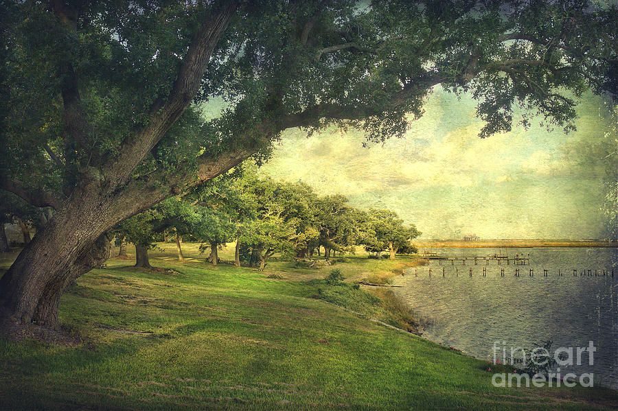 Gulf Coast Shoreline Photograph by Joan McCool - Fine Art America