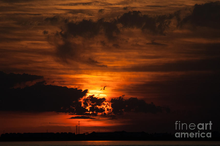 Gulf Coast Sunset 1 Photograph by Richard Mason
