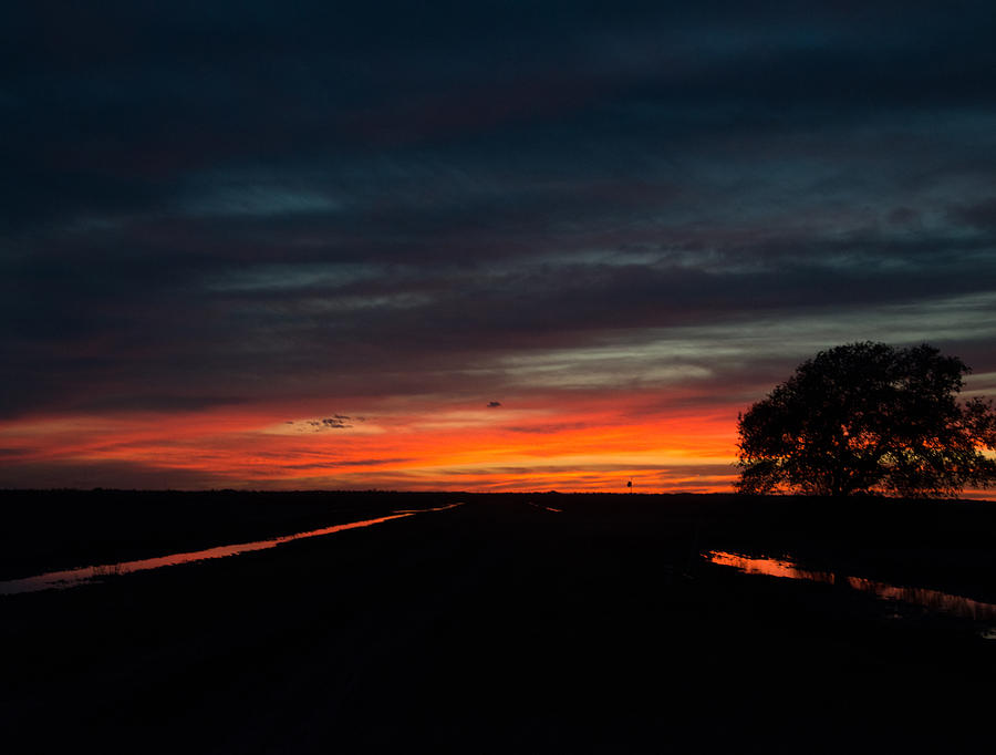 Sunset Photograph - Brazoria Sunset with Tree by David Mortenson