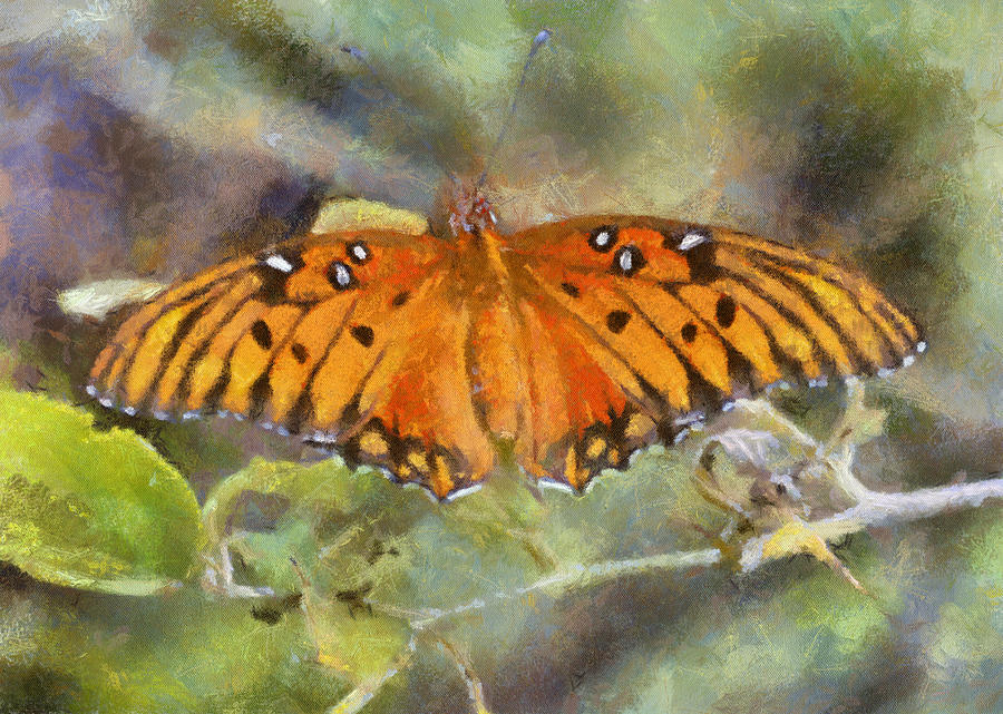 Gulf Fritillary Butterfly Digital Art by Charmaine Zoe